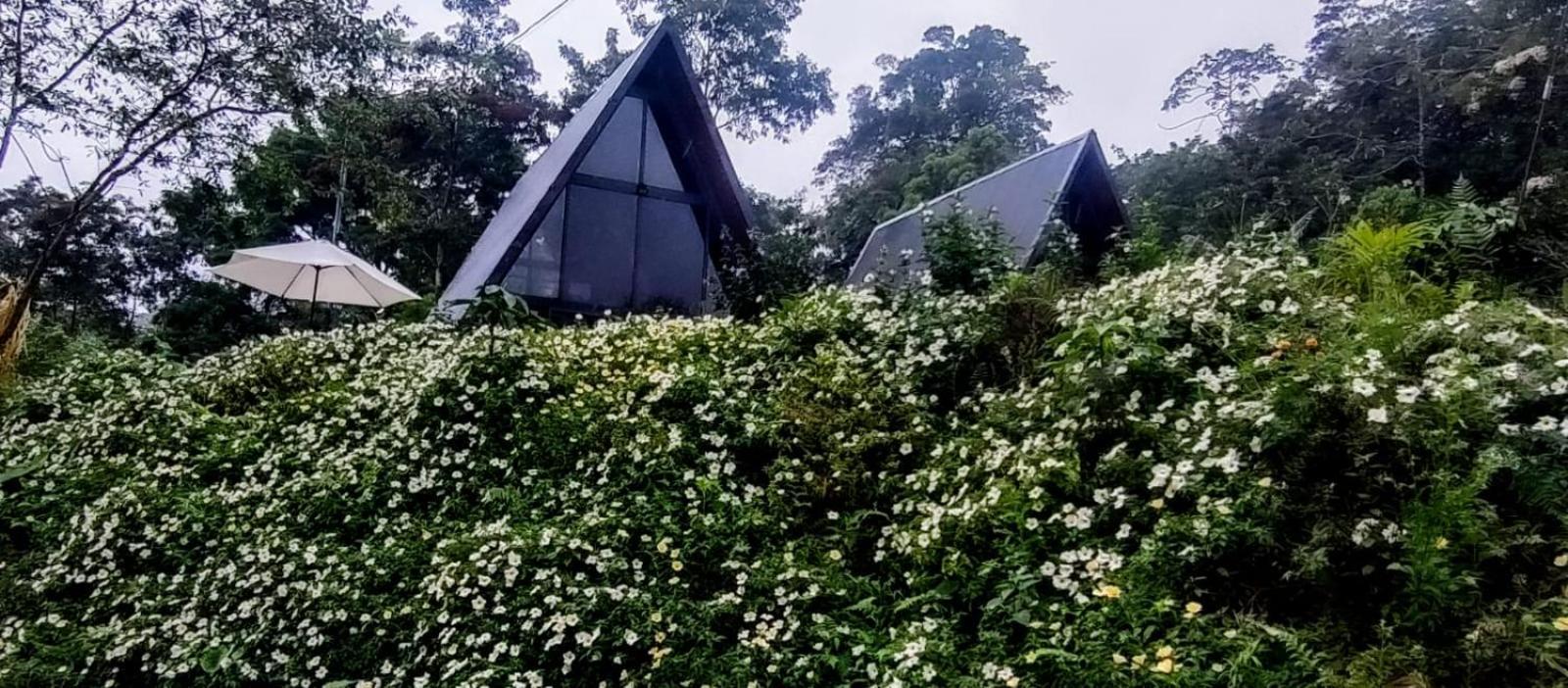 Yarumo Lodge, Rio Celeste Black Chalets Бихагуа Экстерьер фото
