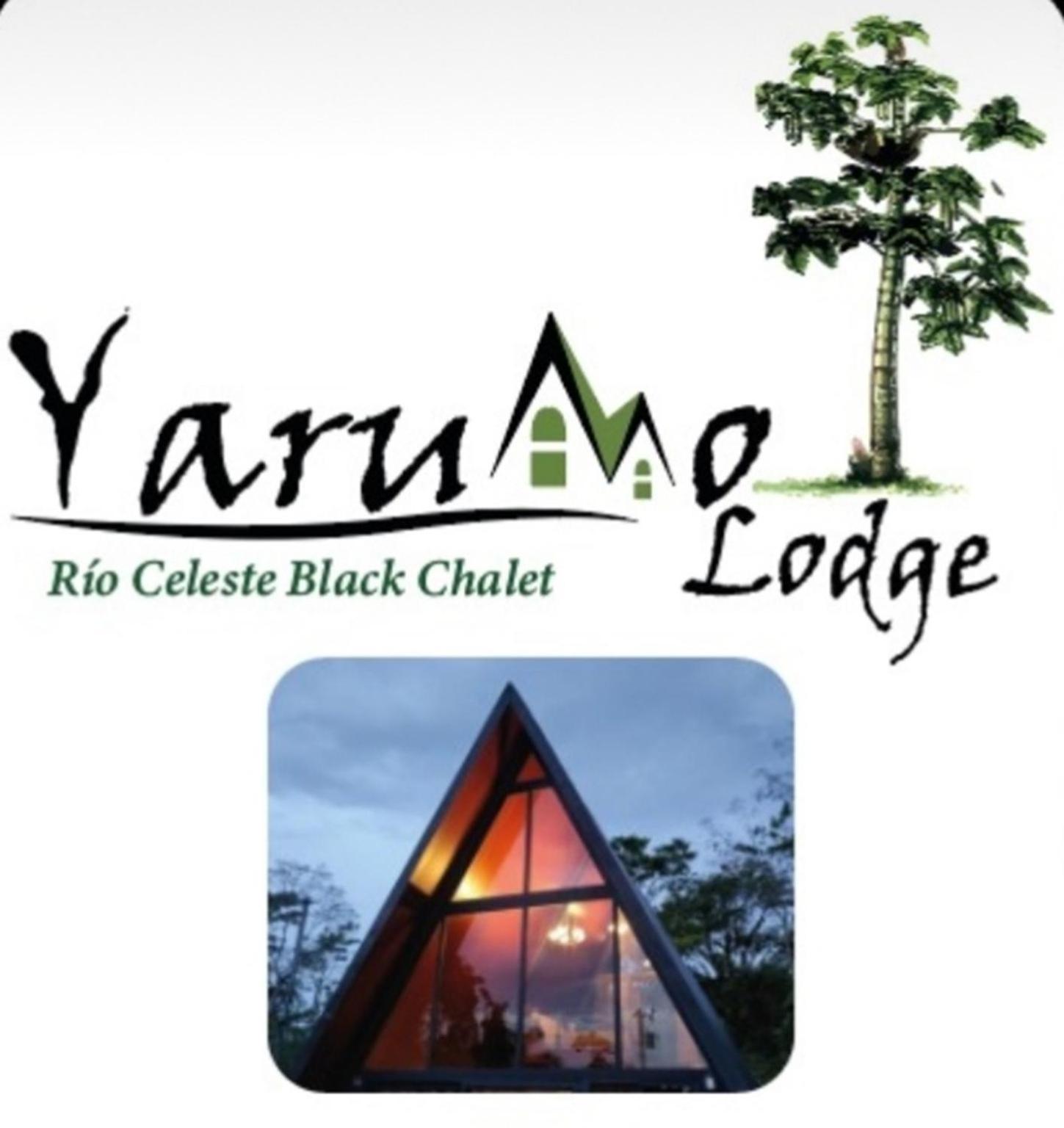 Yarumo Lodge, Rio Celeste Black Chalets Бихагуа Экстерьер фото