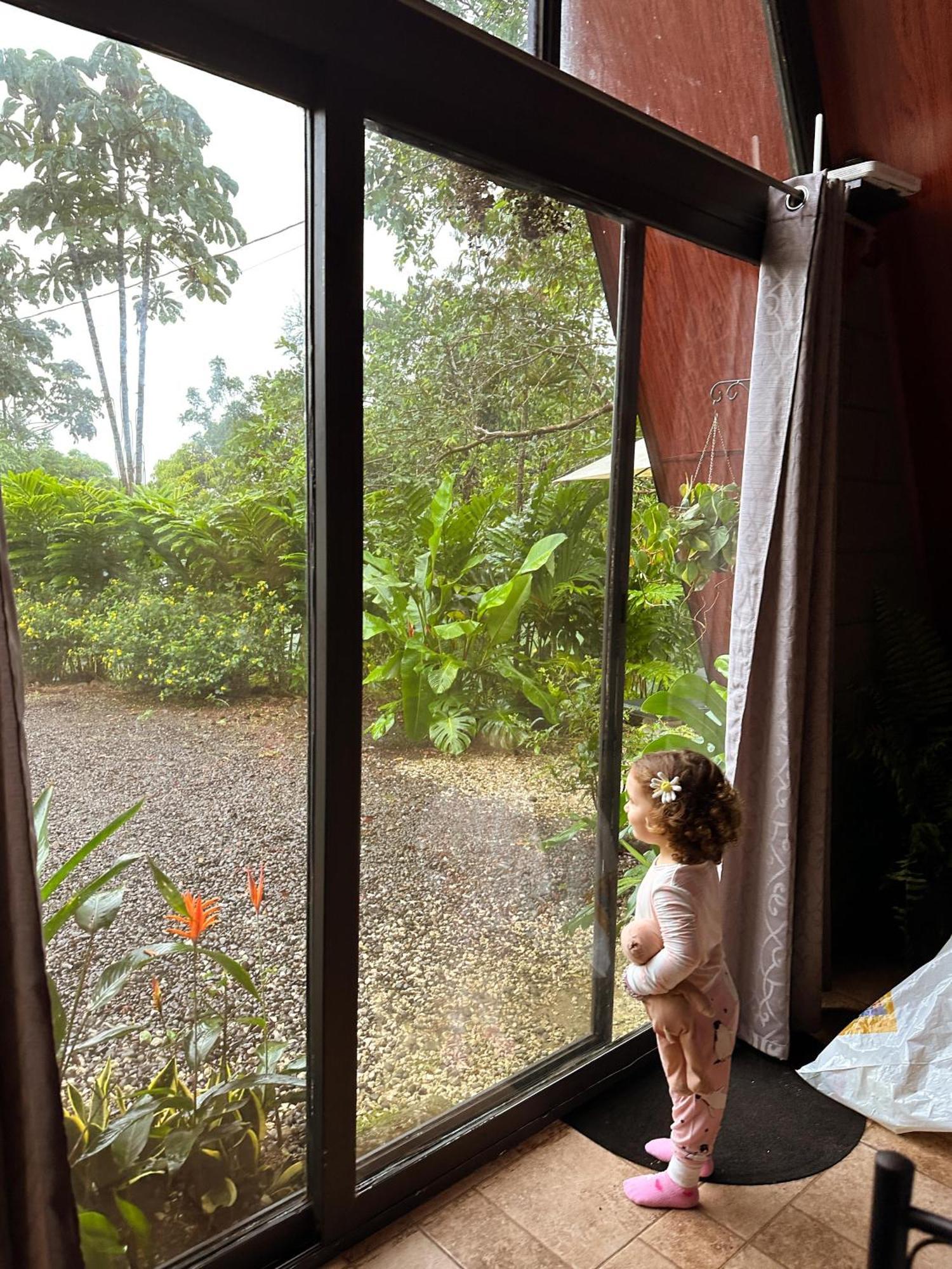 Yarumo Lodge, Rio Celeste Black Chalets Бихагуа Экстерьер фото